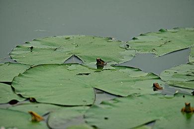 《微软模拟飞行2024》IGN 9分：想体验数百小时